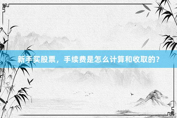 新手买股票，手续费是怎么计算和收取的？