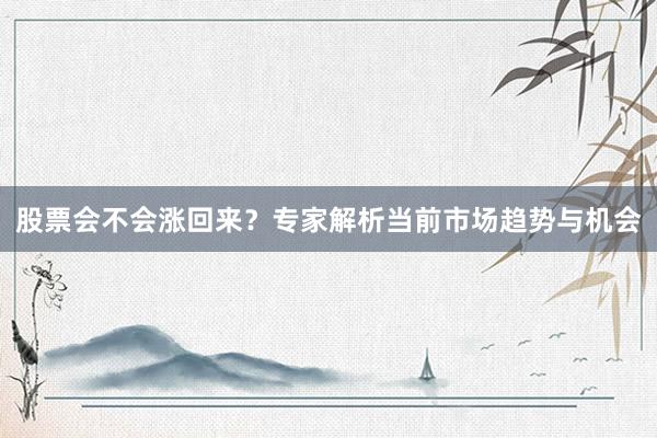 股票会不会涨回来？专家解析当前市场趋势与机会